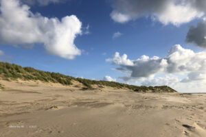 Sand Dunes Tywyn Aberdovey Gwynedd - NU Images